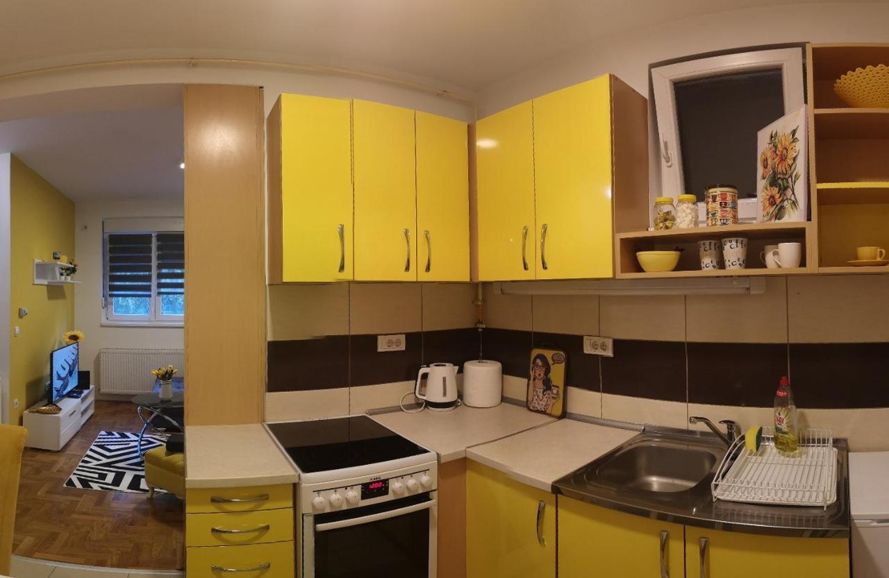 Apartman Sunflower Sremska Mitrovica Exteriör bild