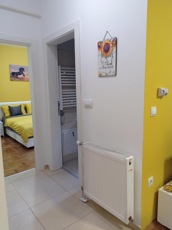 Apartman Sunflower Sremska Mitrovica Exteriör bild