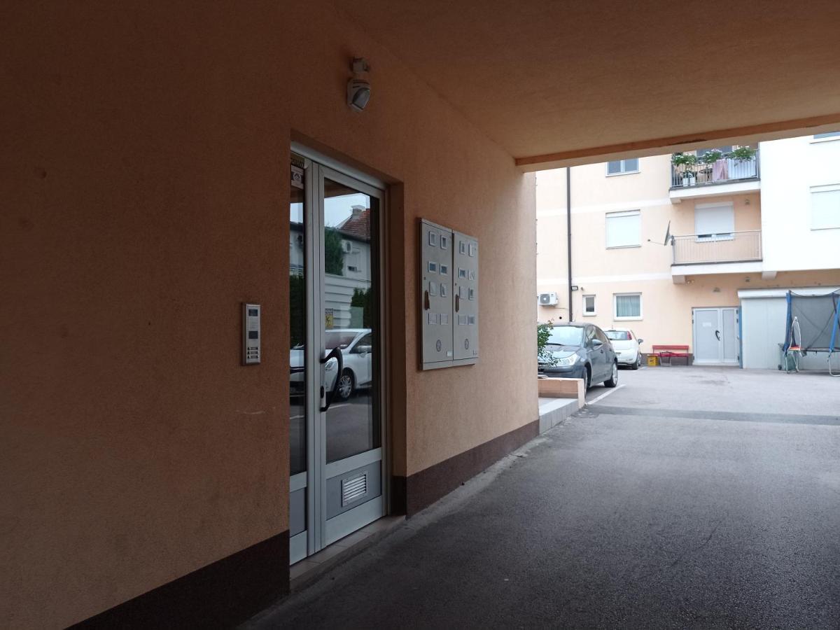 Apartman Sunflower Sremska Mitrovica Exteriör bild