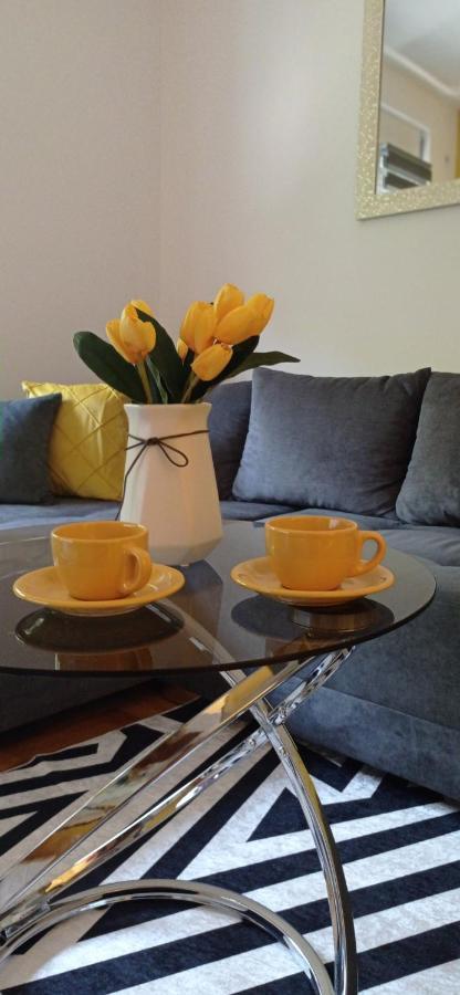 Apartman Sunflower Sremska Mitrovica Exteriör bild